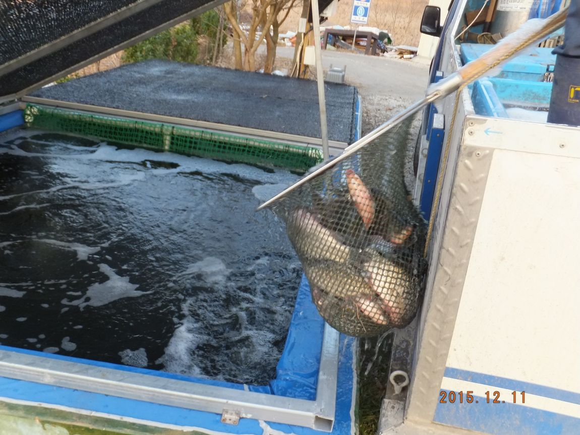 201300703 027.jpg