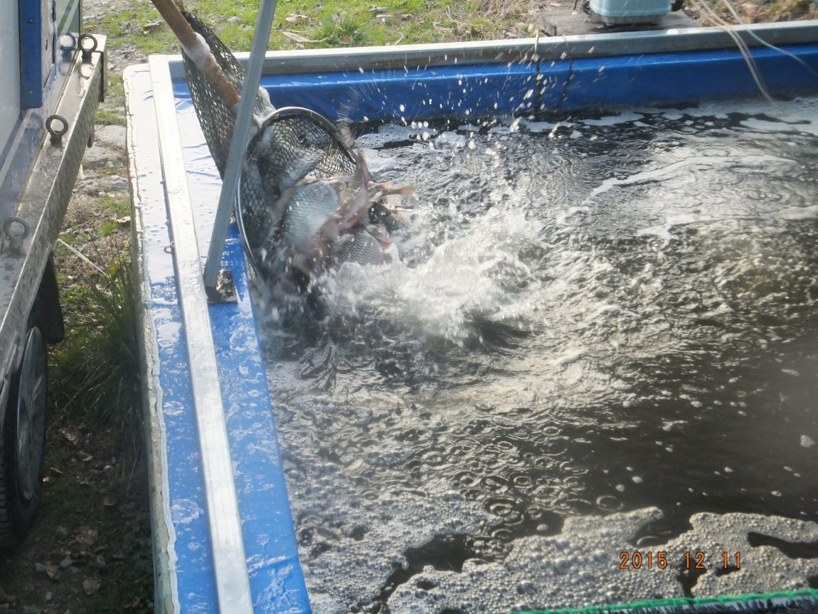 201300703 052.jpg