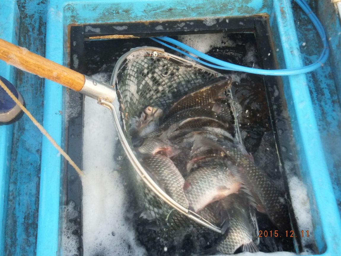 201300703 056.jpg
