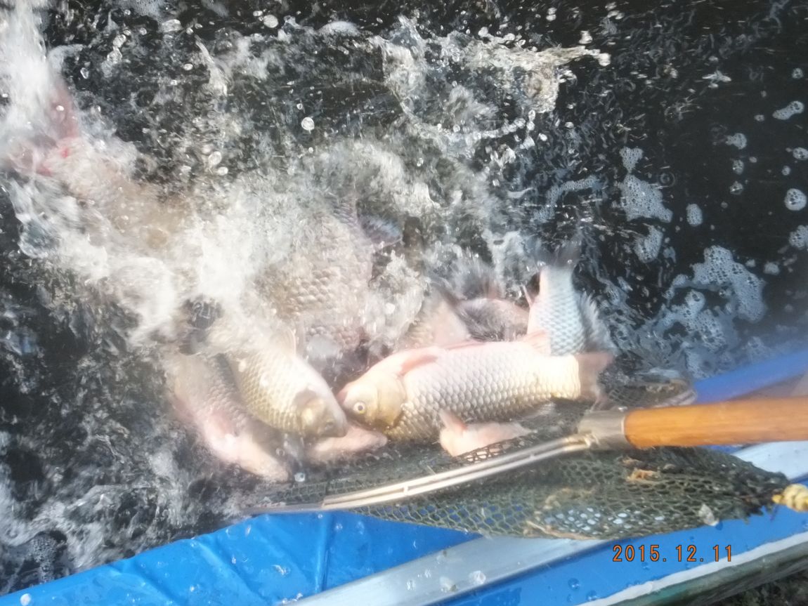 201300703 064.jpg