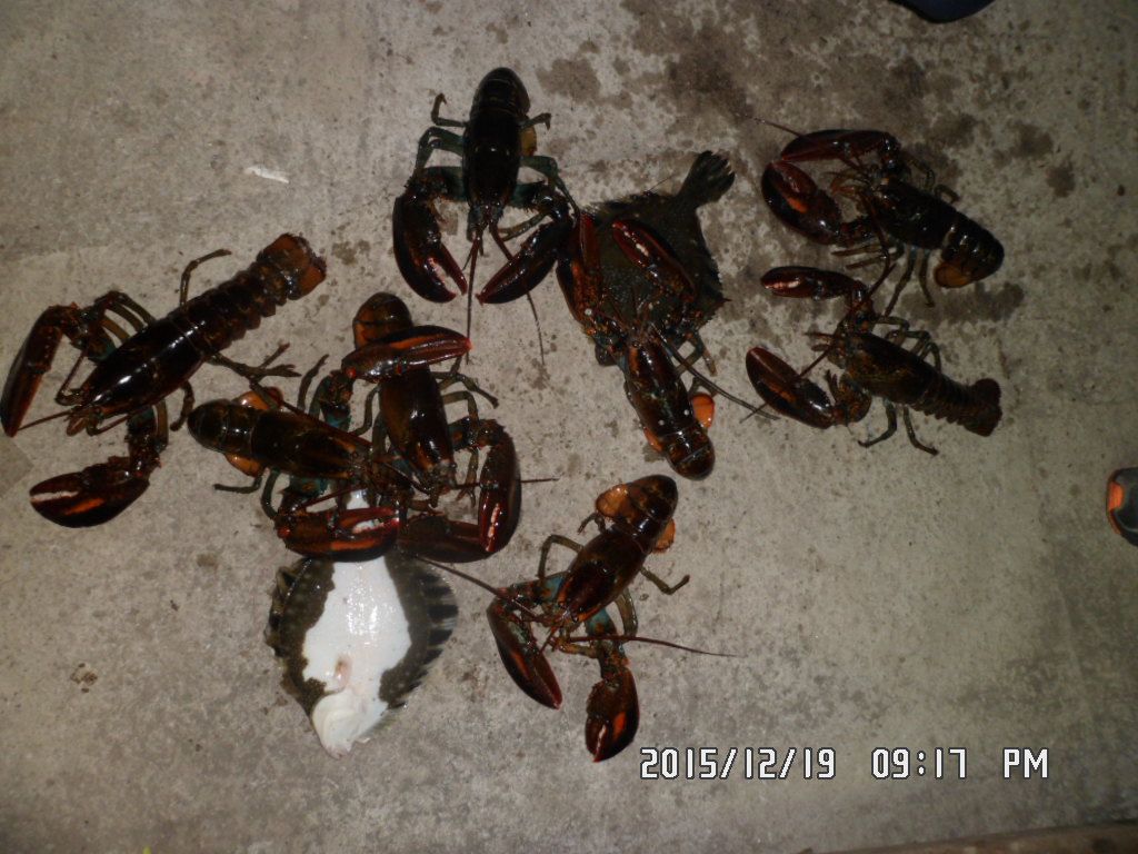 SAM_2780.JPG