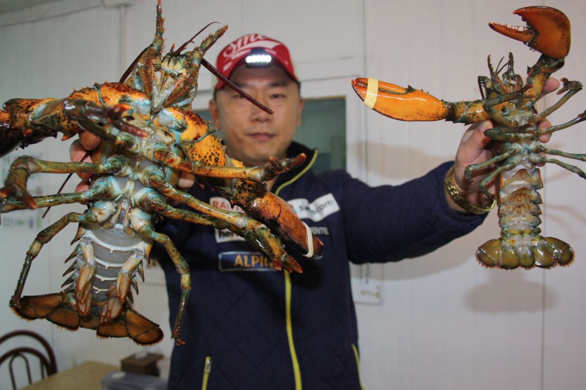 12��20�� 310.JPG