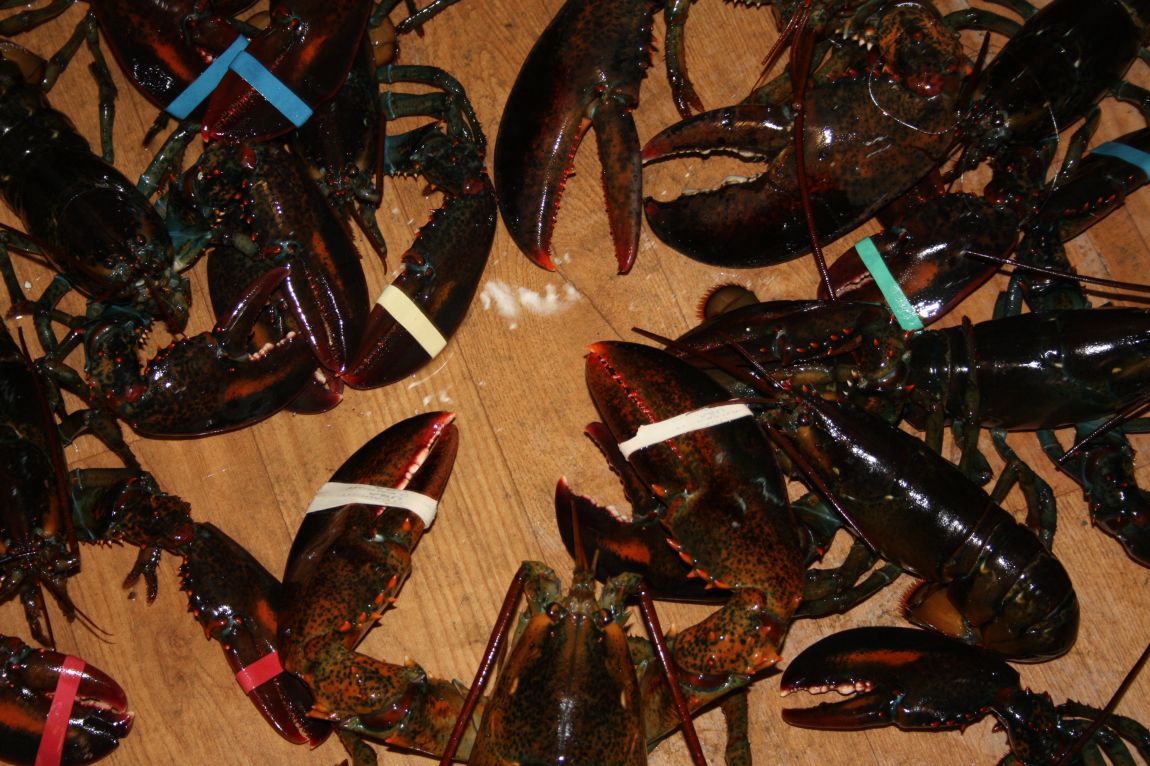 12��20�� 154.JPG