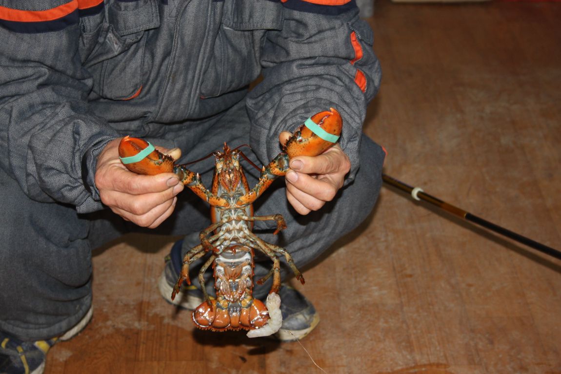 12��20�� 009.JPG