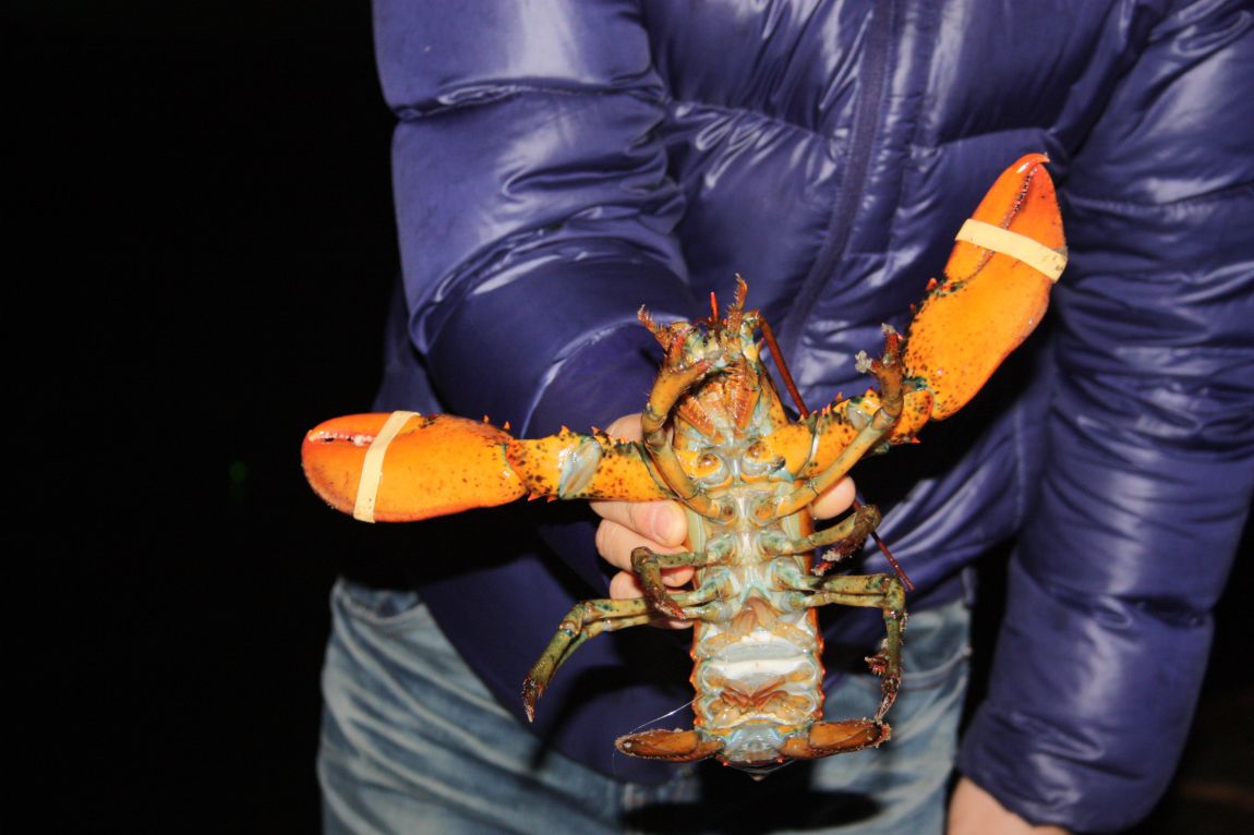 12��20�� 012.JPG