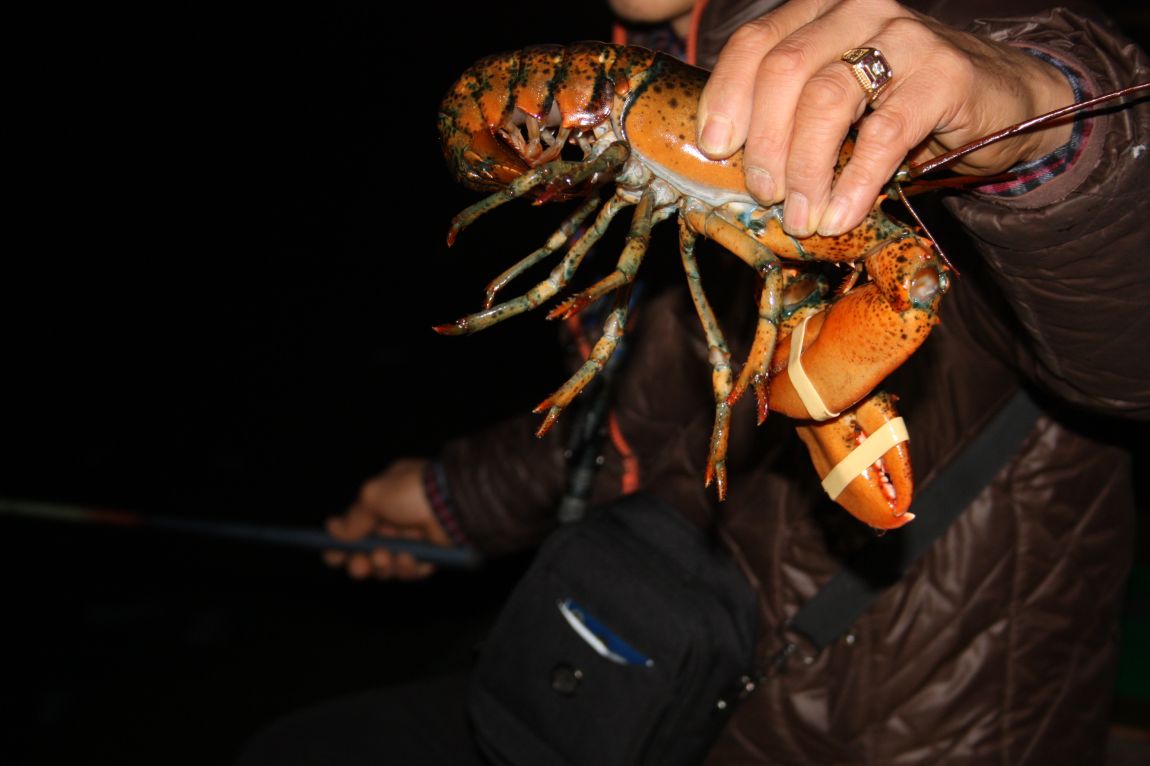 12��20�� 015.JPG