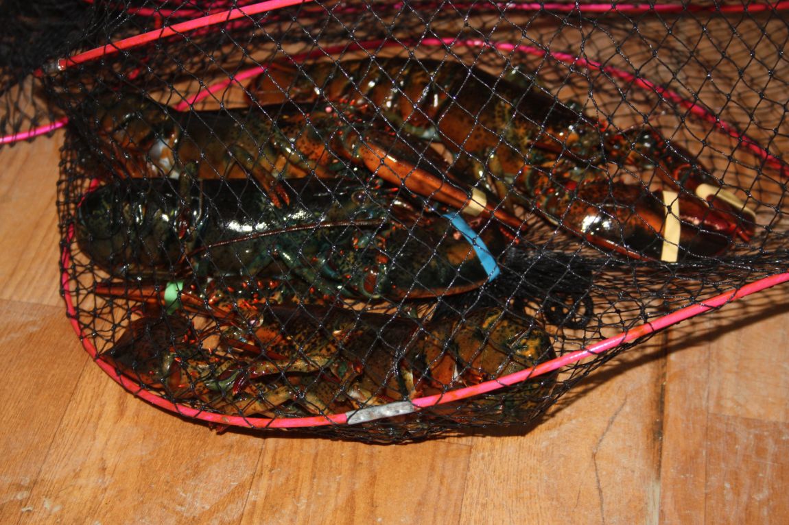 12��20�� 014.JPG