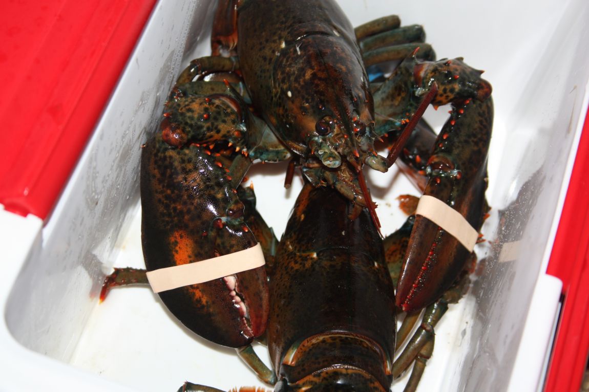 12��20�� 017.JPG