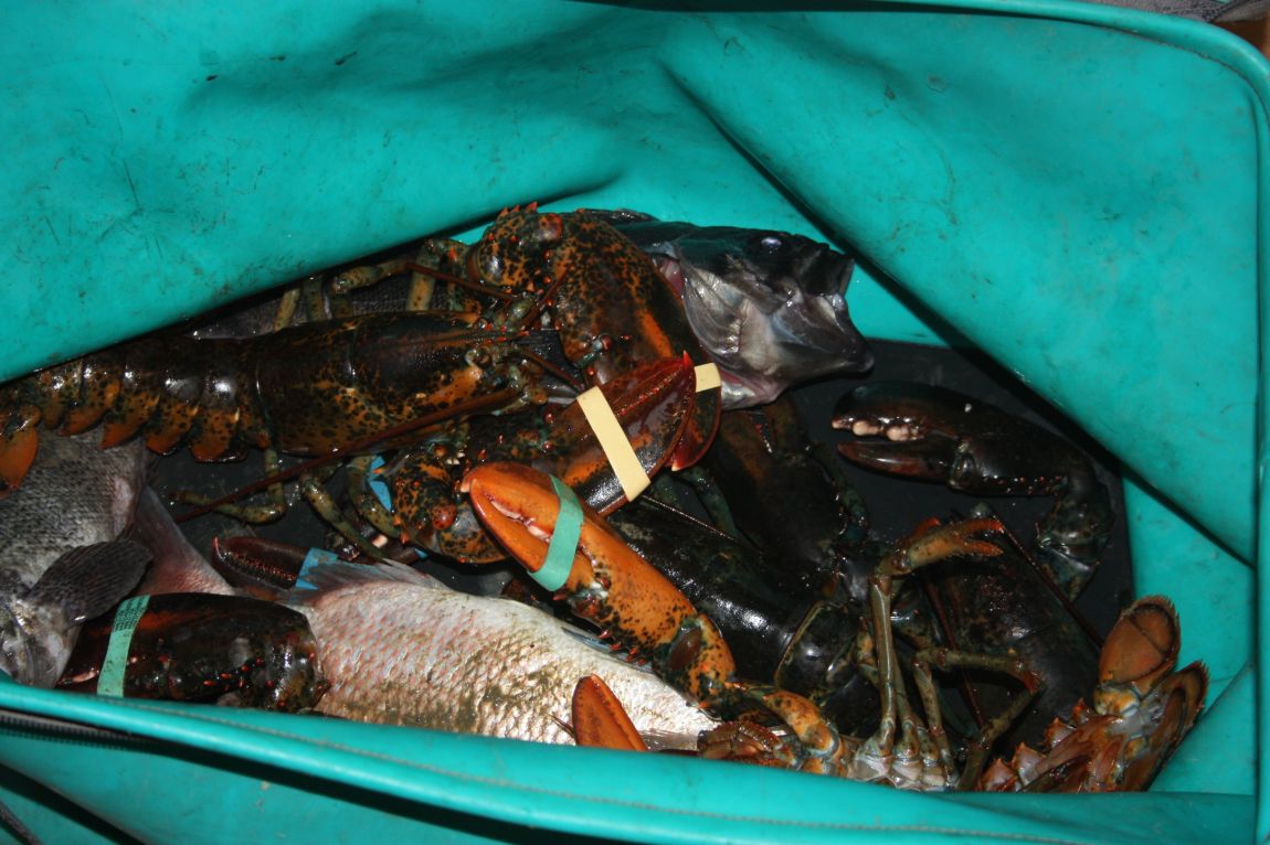 12��20�� 027.JPG