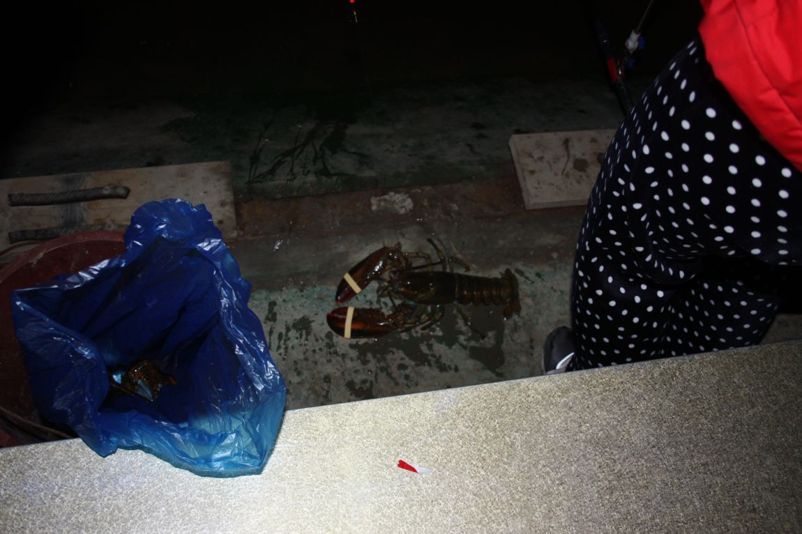 12��20�� 037.JPG