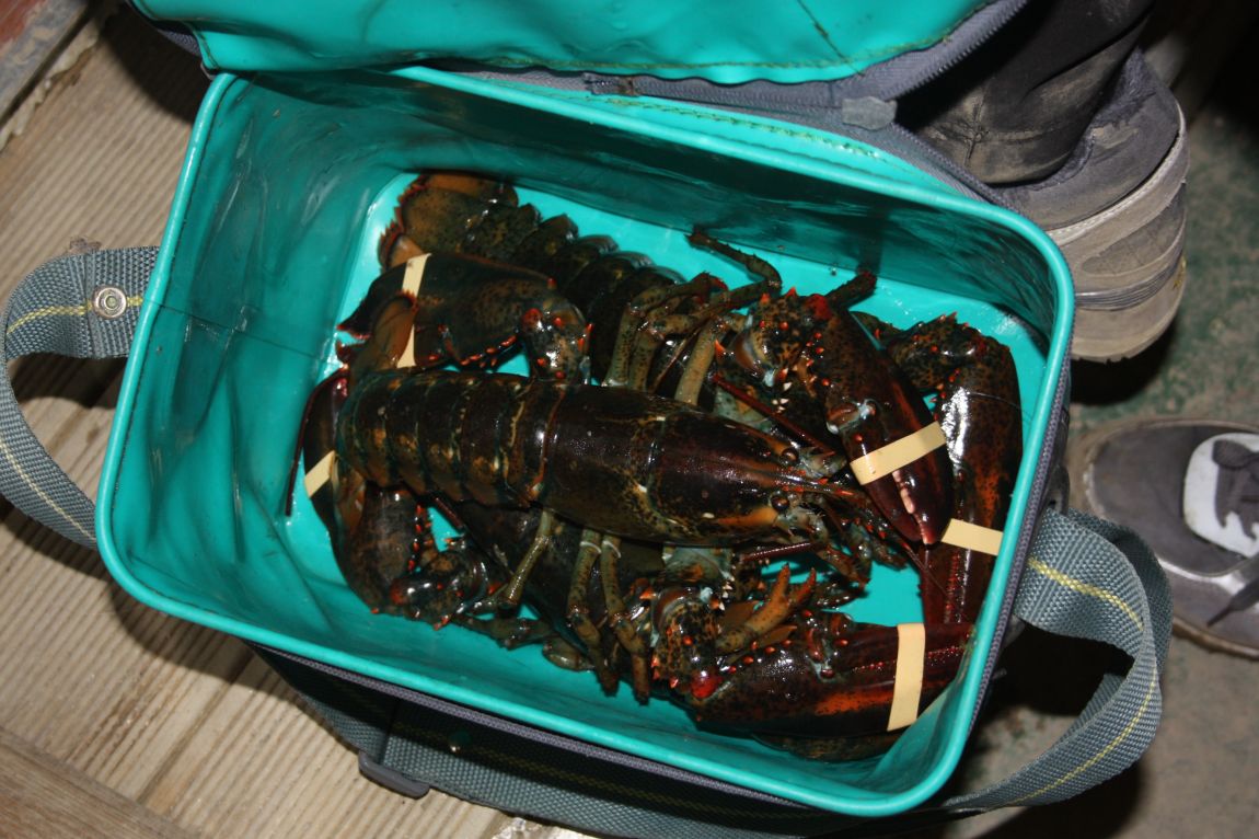 12��20�� 038.JPG