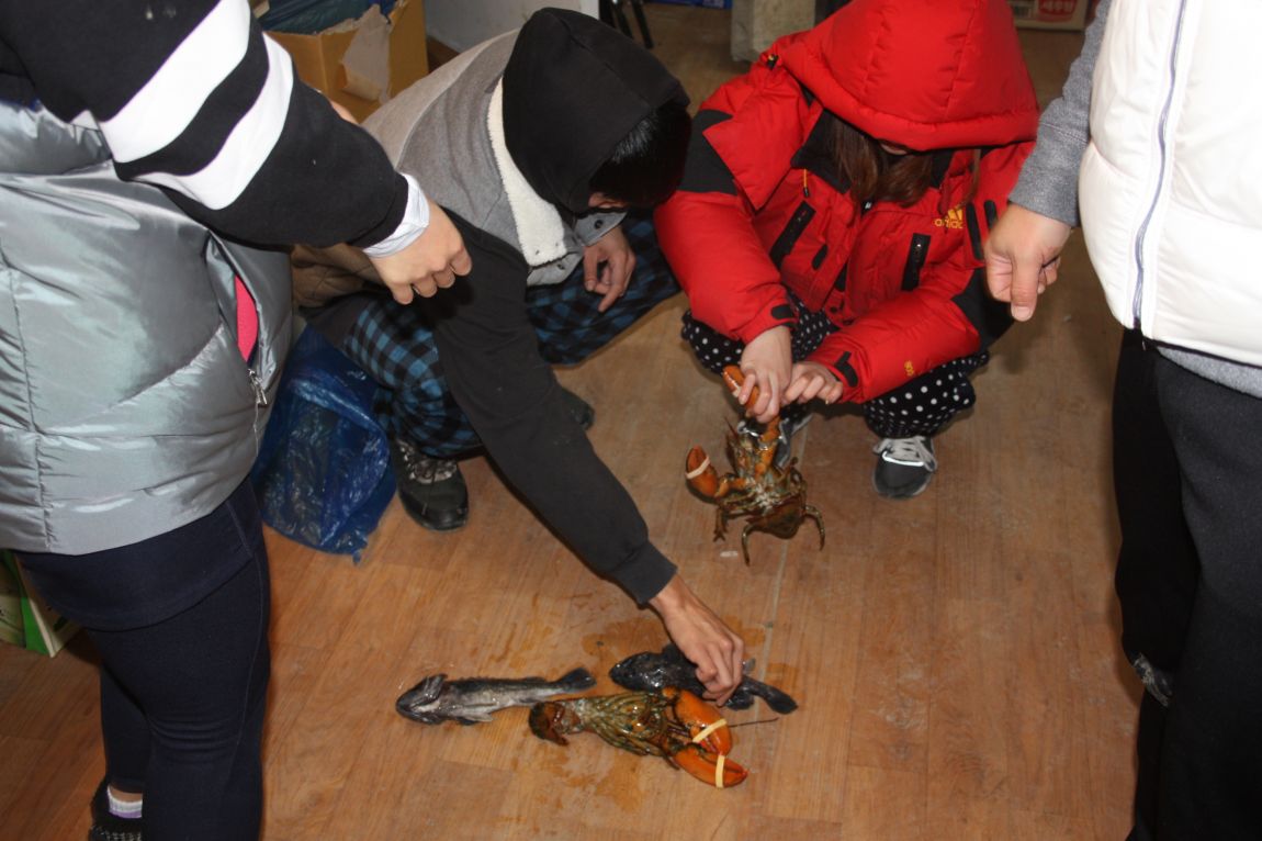 12��20�� 041.JPG