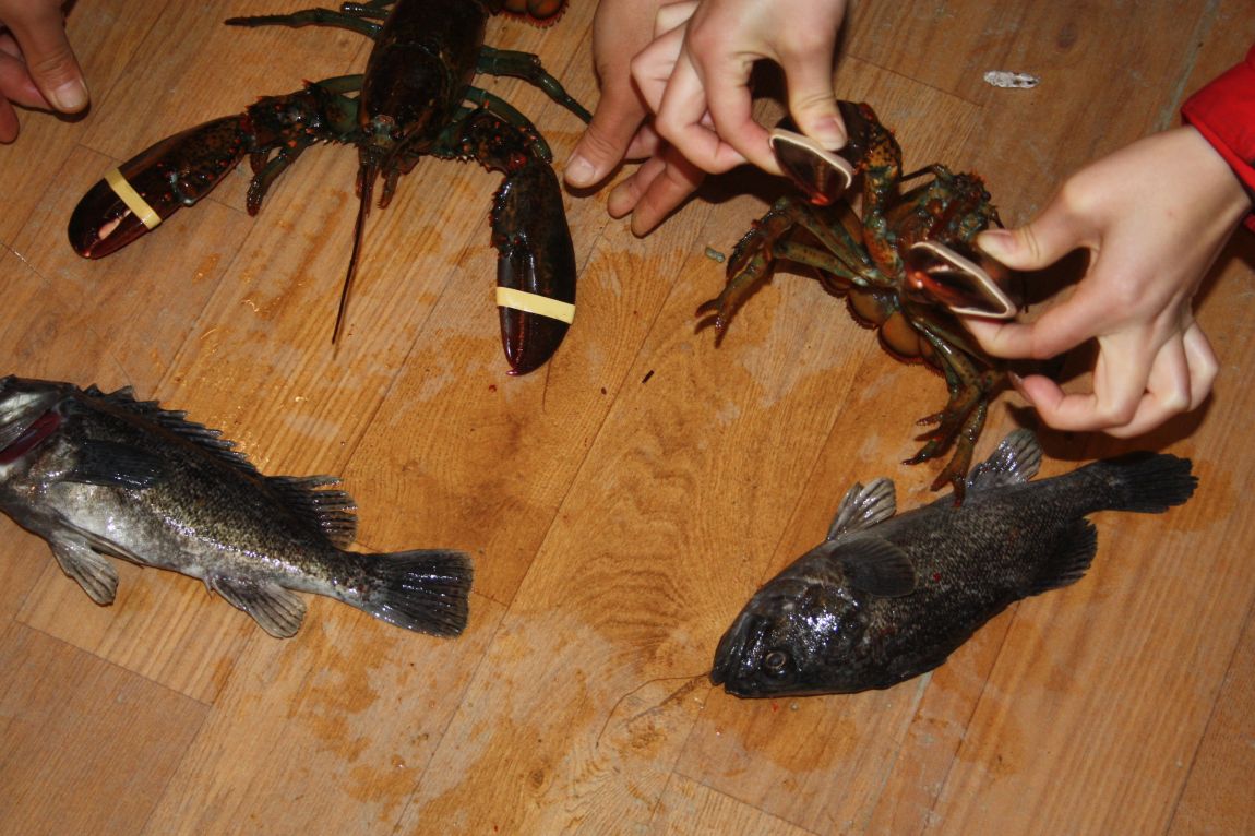 12��20�� 043.JPG