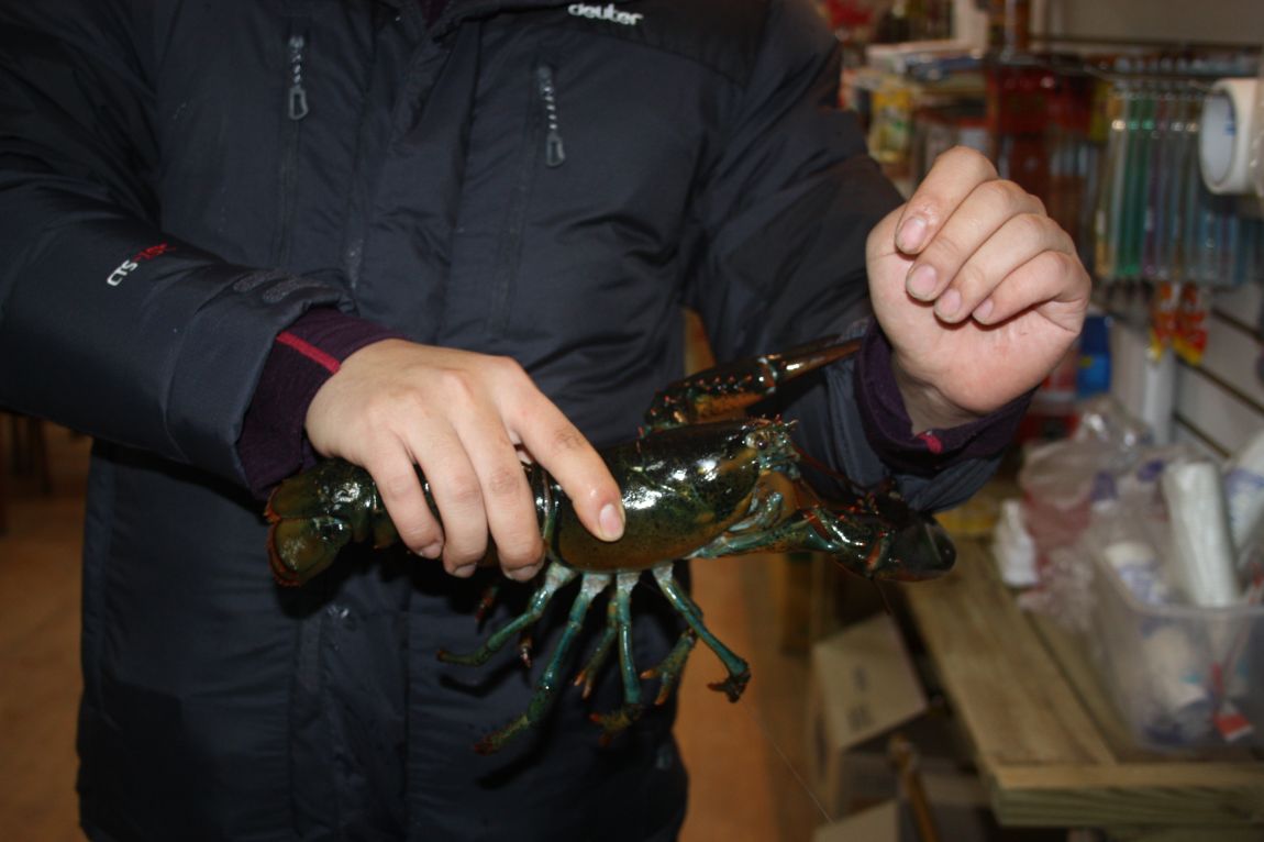 12��20�� 045.JPG