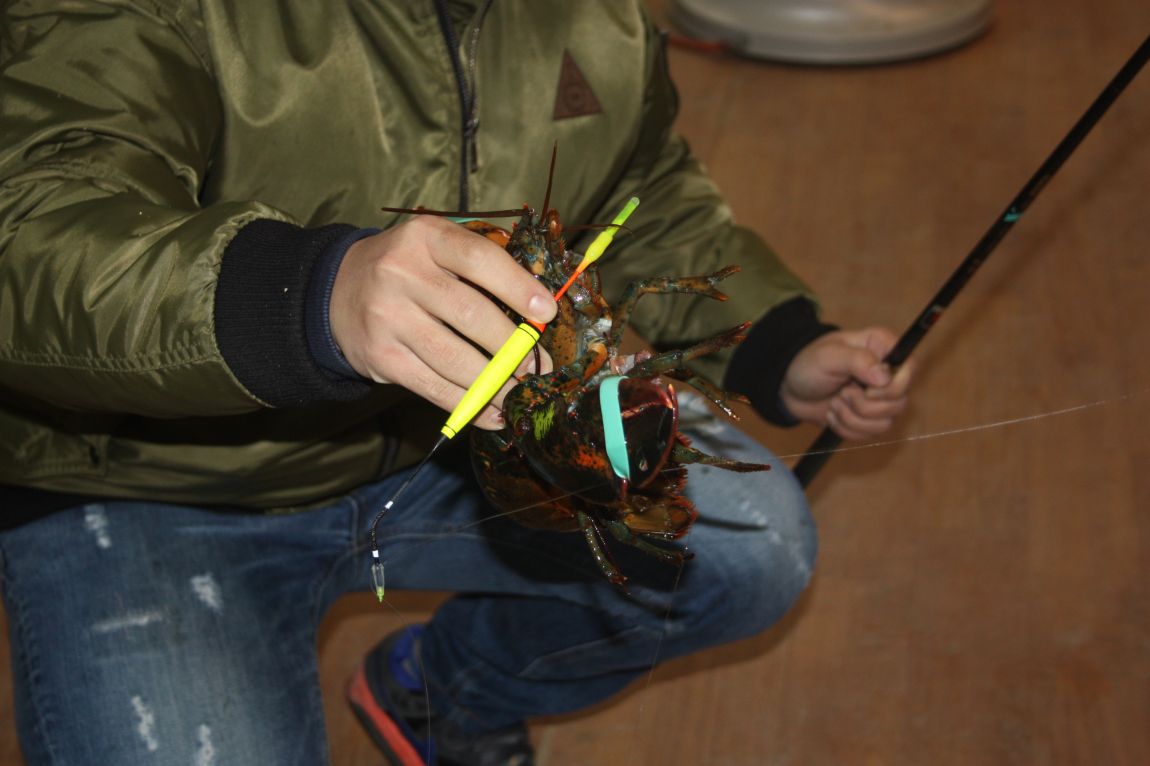 12��20�� 047.JPG