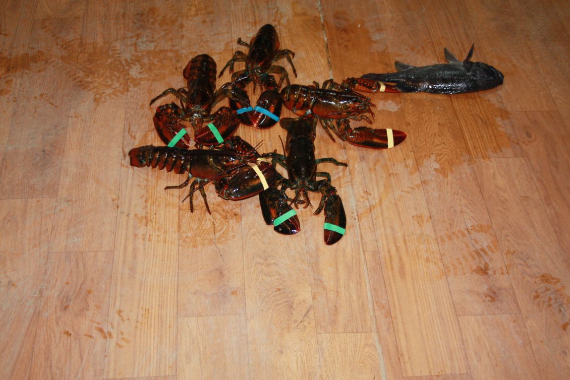 12��20�� 048.JPG