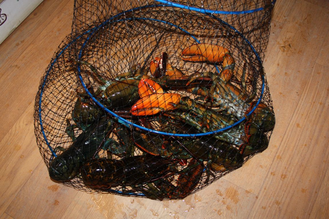 12��20�� 054.JPG