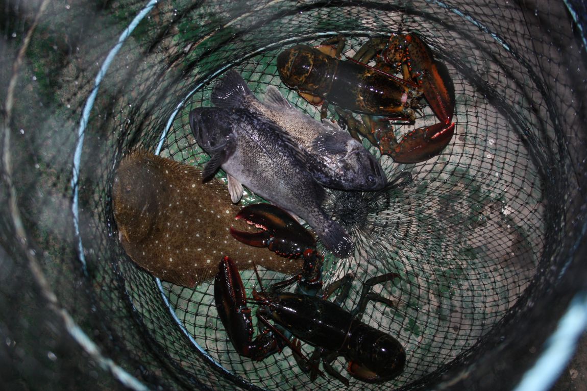 12��20�� 058.JPG