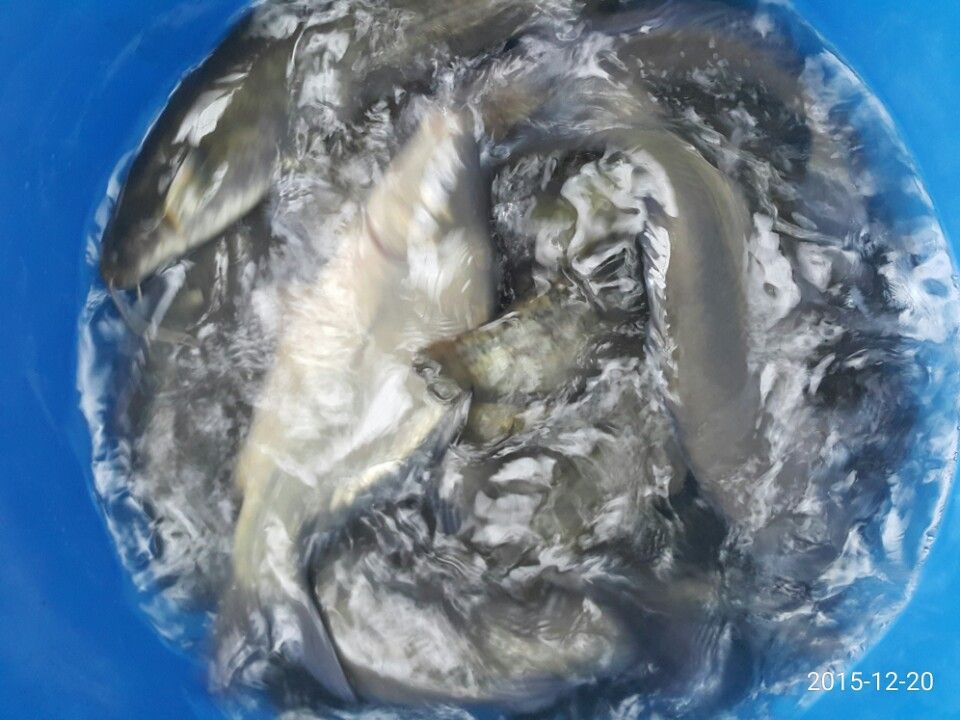 1450610042220.jpg
