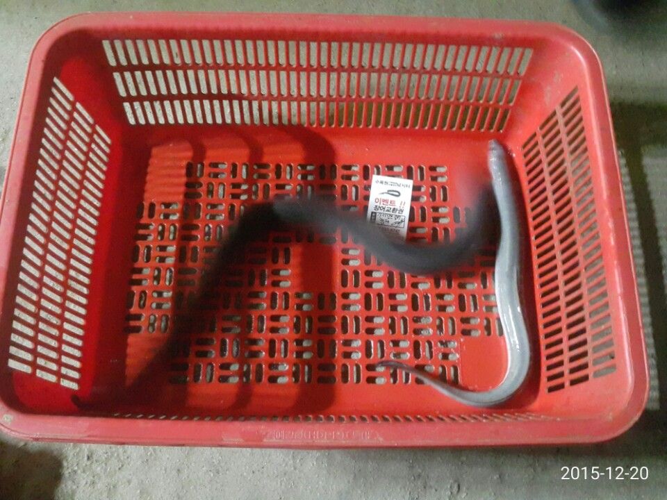 1450610023622.jpg