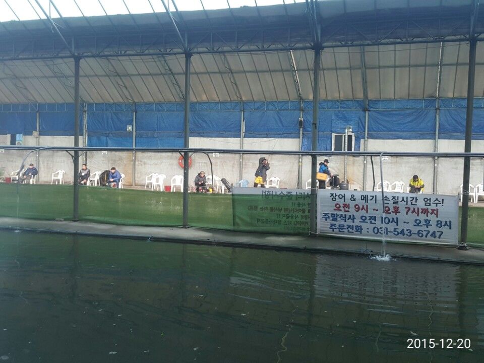 1450610071371.jpg