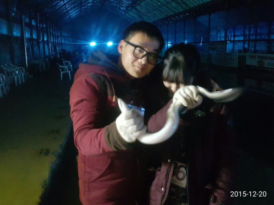 1450610015873.jpg
