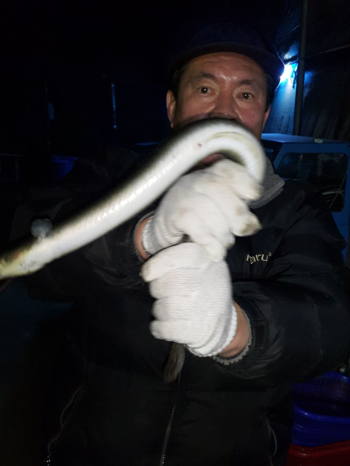 IMG_0340.jpg