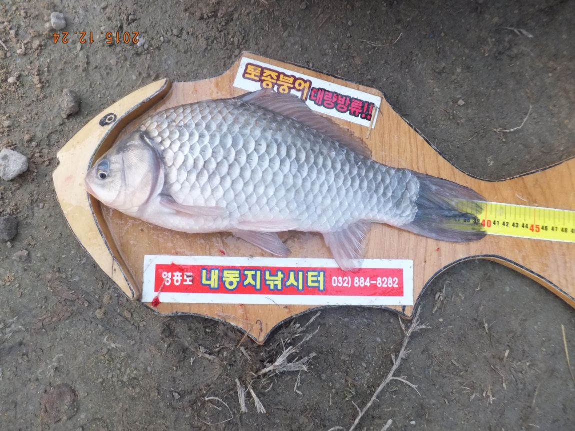 201300703 039.jpg