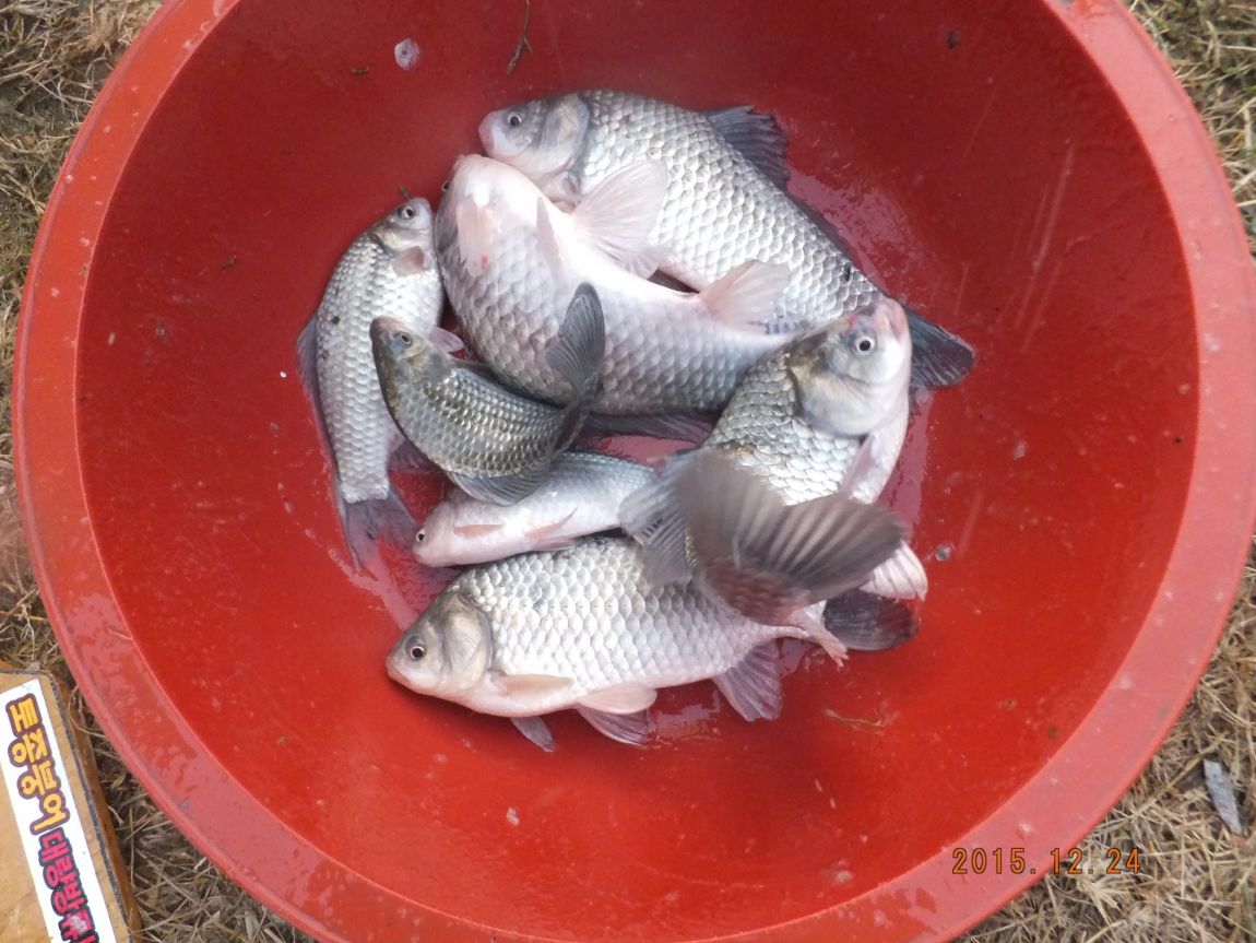 201300703 053.jpg