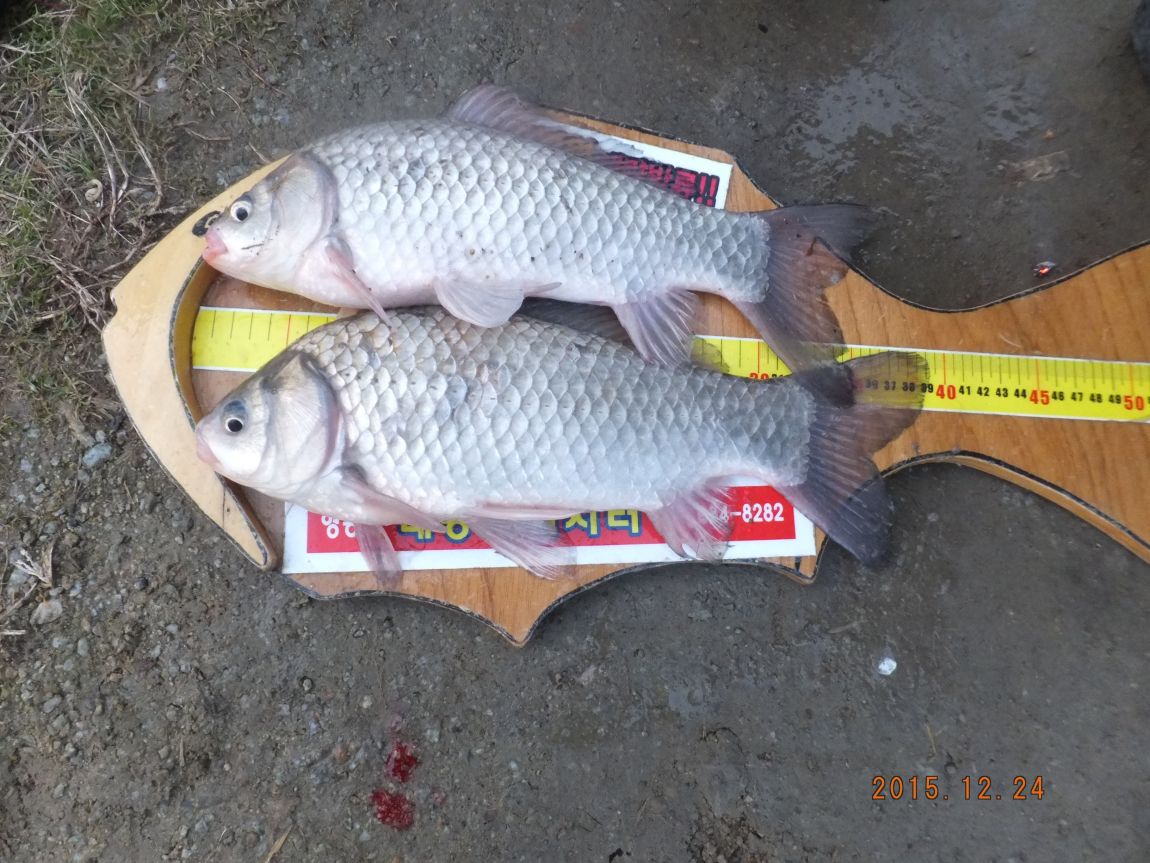201300703 032.jpg