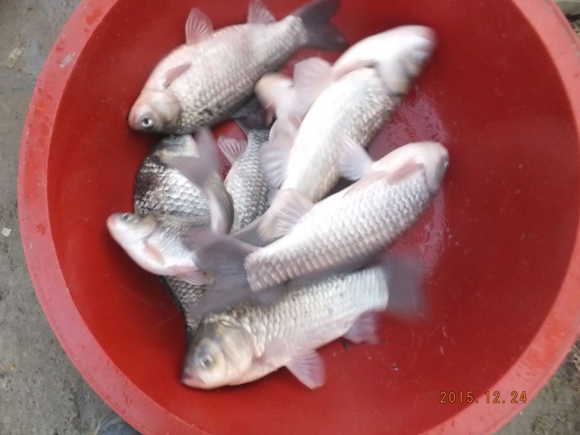 201300703 031.jpg