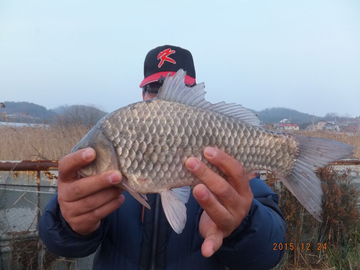 201300703 046.jpg