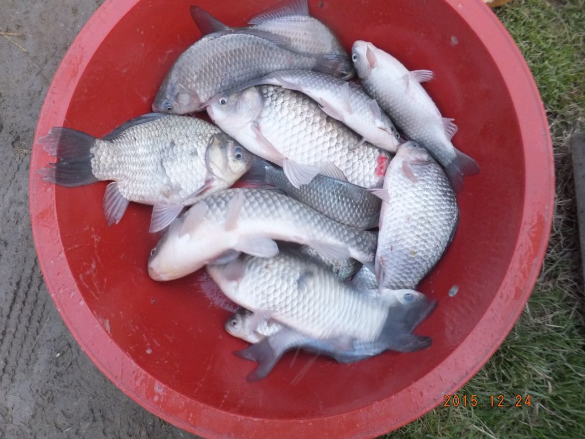 201300703 036.jpg