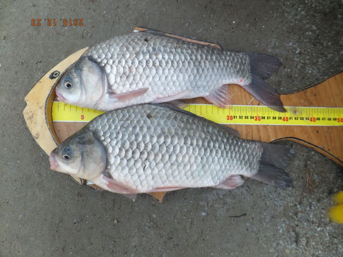 201300703 022.jpg