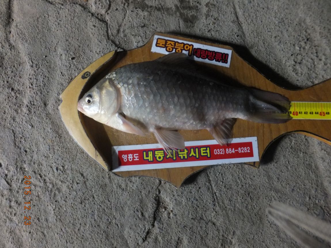 201300703 028.jpg