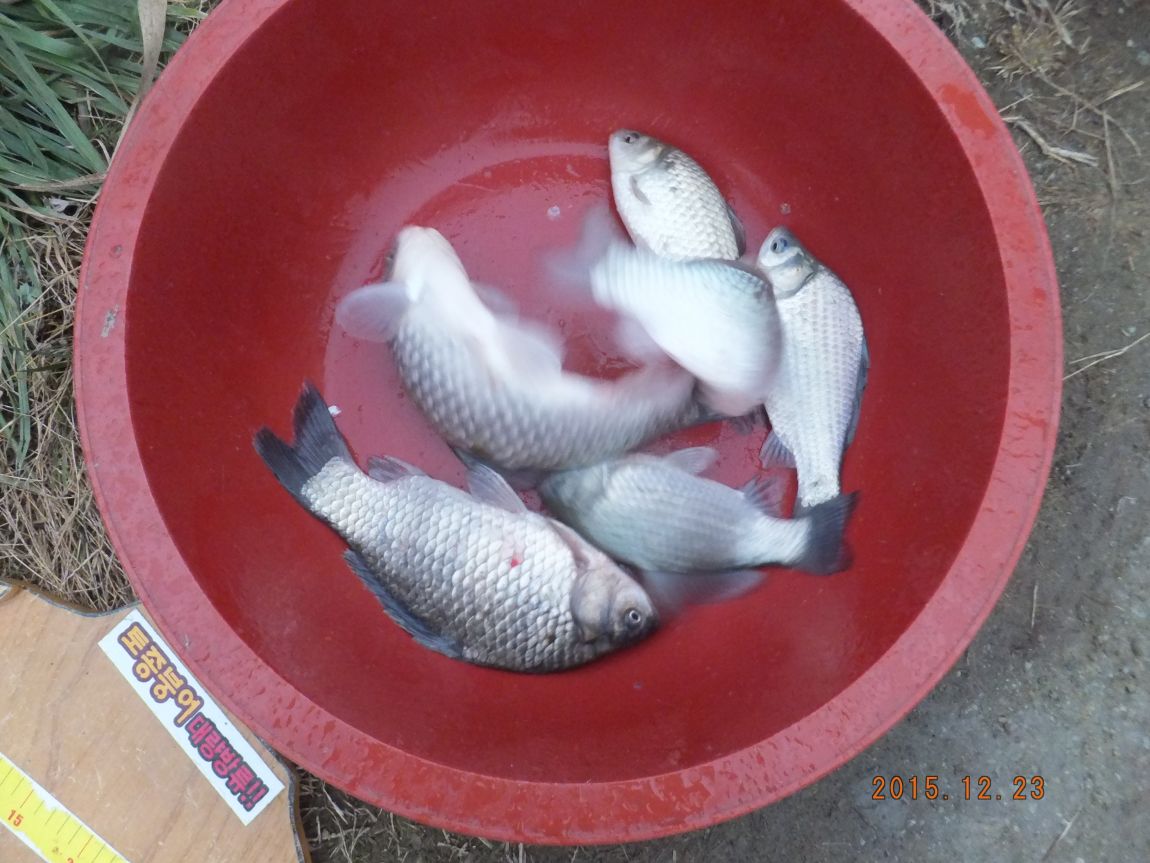 201300703 001.jpg