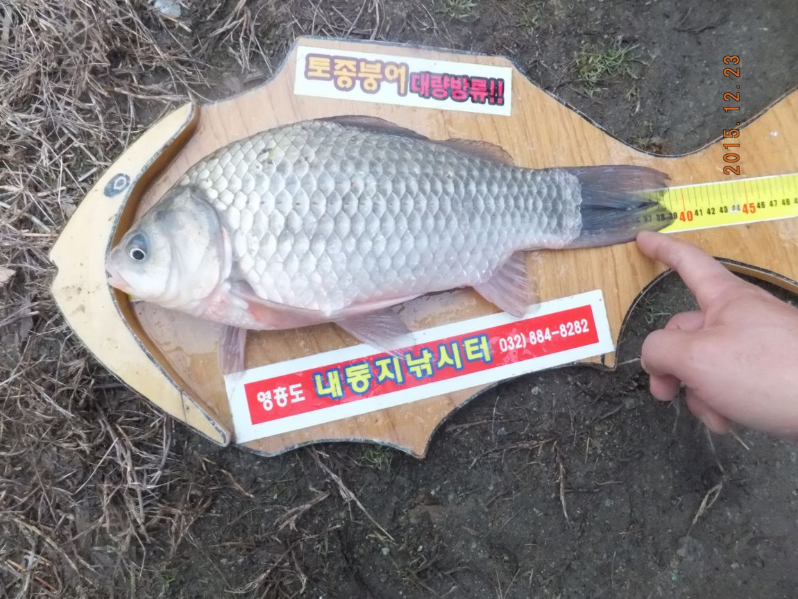 201300703 009.jpg