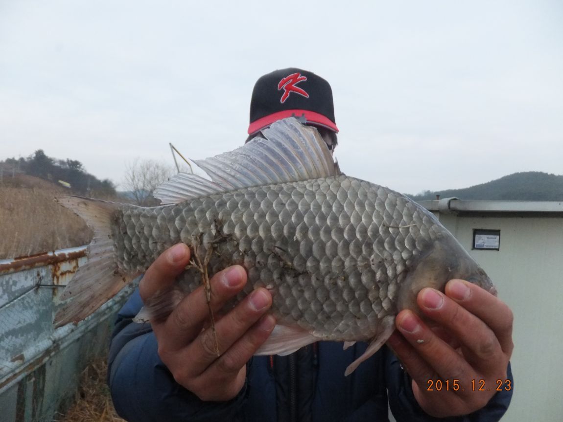 201300703 014.jpg
