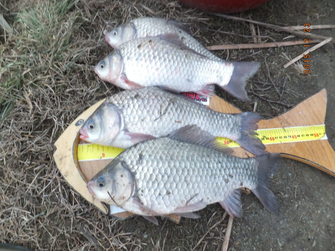 201300703 013.jpg