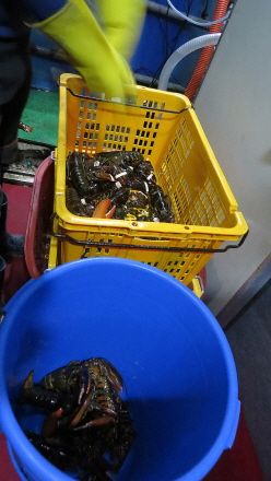 db2015.12.25 ����ٴٳ����� (32).JPG