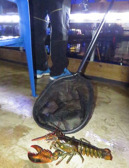 db2015.12.25 ����ٴٳ����� (42).JPG