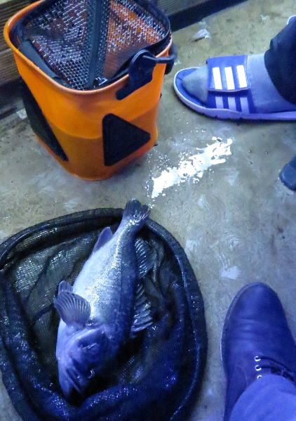 db2015.12.25 ����ٴٳ����� (51).JPG