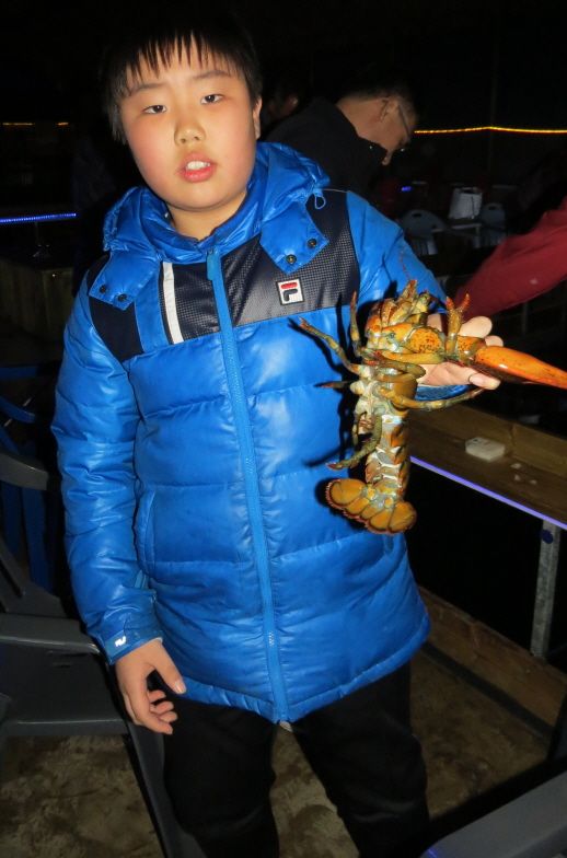 db2015.12.25 ����ٴٳ����� (75).JPG