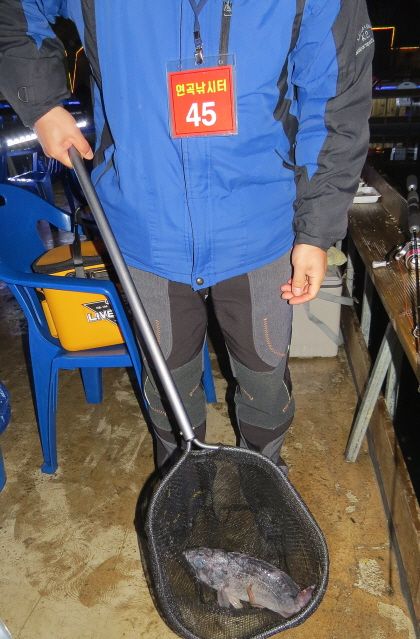 db2015.12.25 ����ٴٳ����� (85).JPG