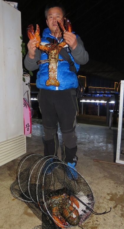 db2015.12.25 ����ٴٳ����� (87).JPG