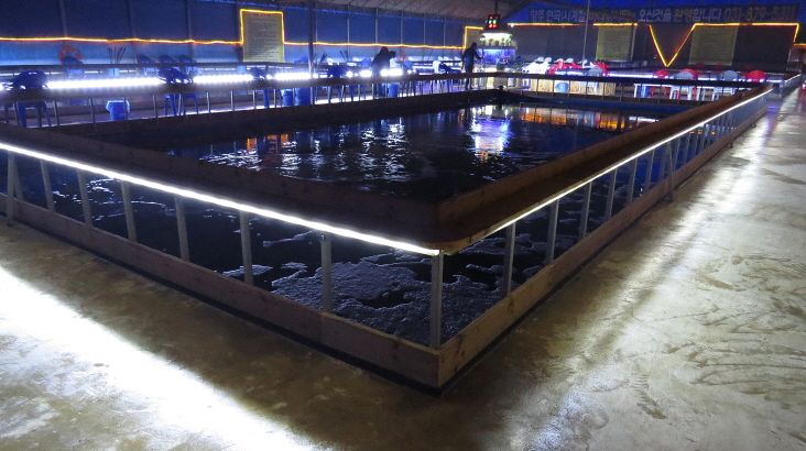 db2015.12.25 ����ٴٳ����� (117).JPG