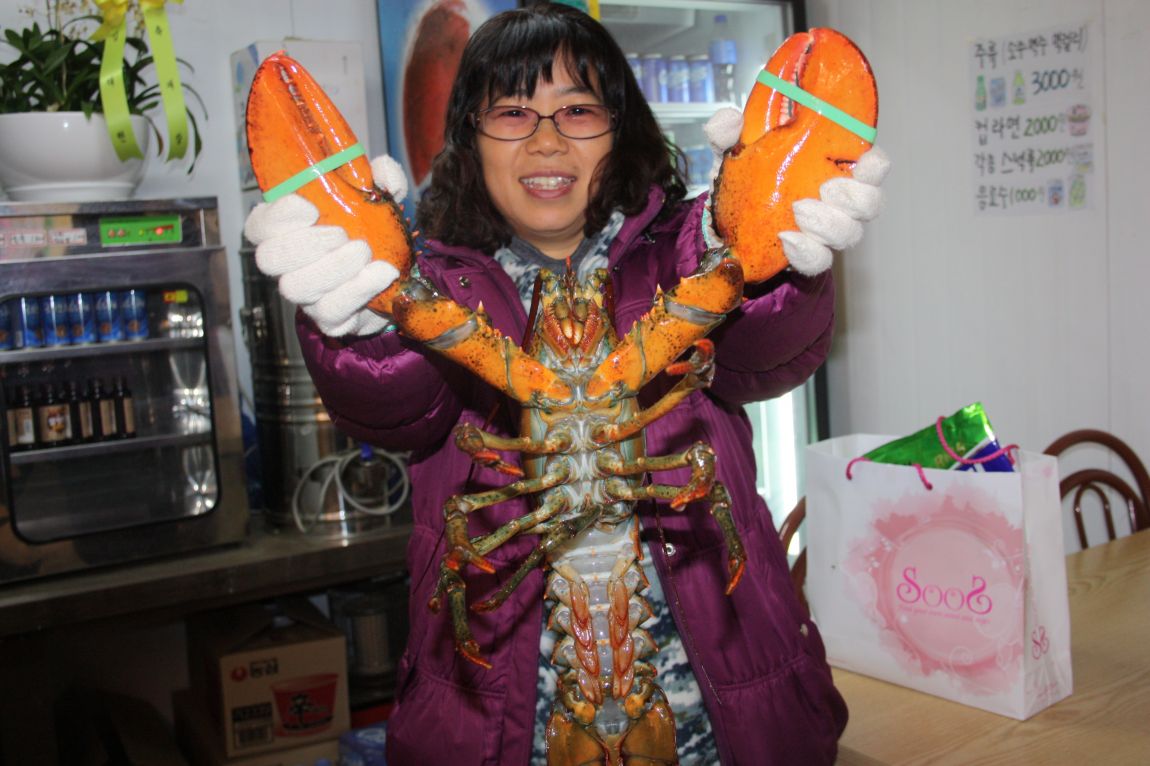 12��25�� 019.JPG