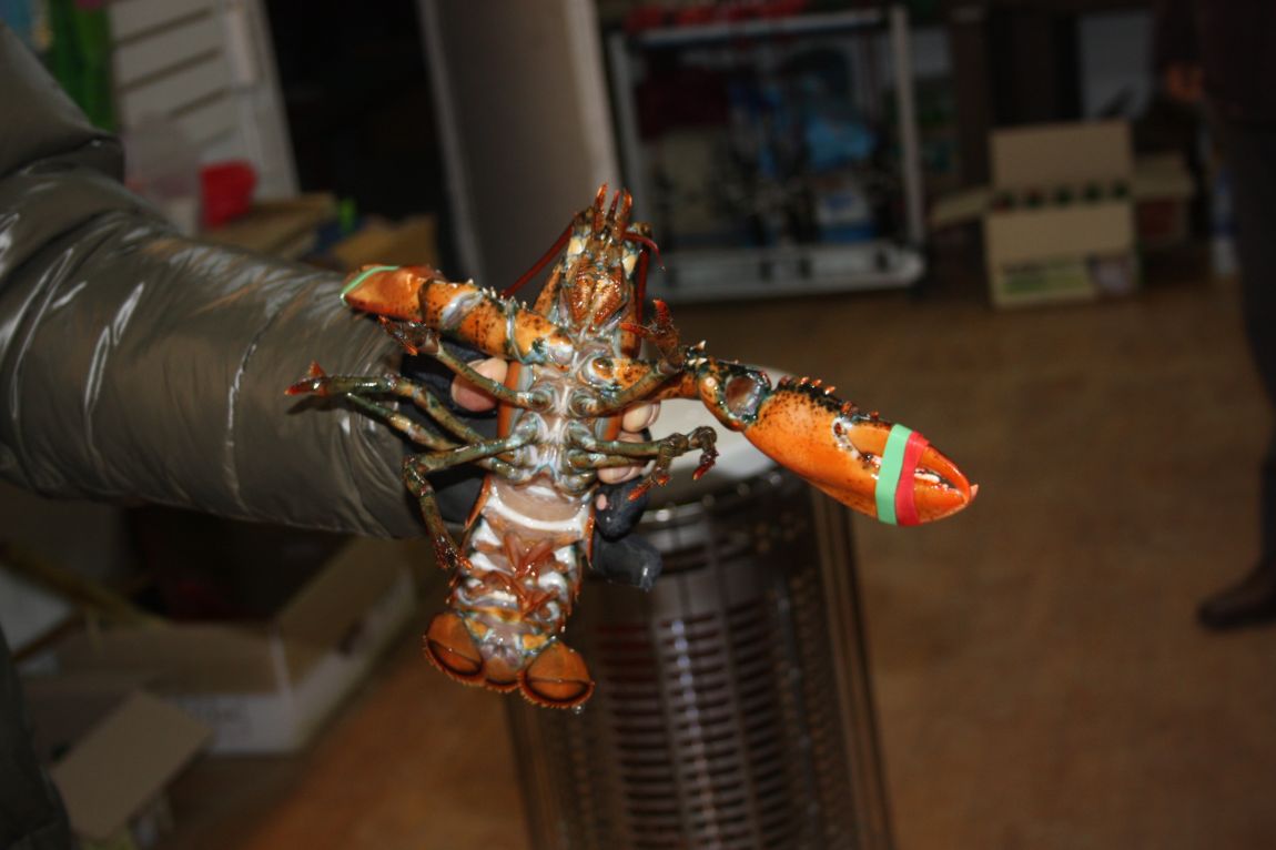 12��25�� 001.JPG