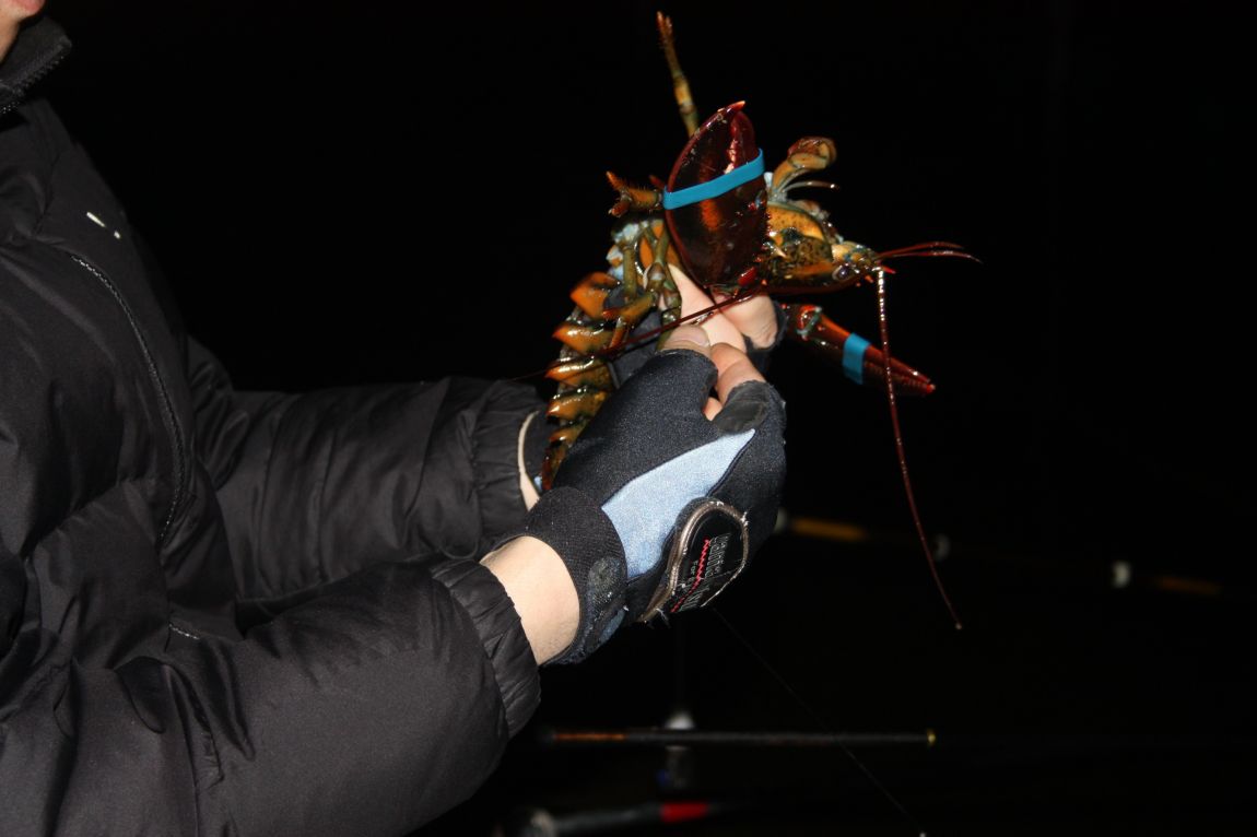 12��25�� 017.JPG