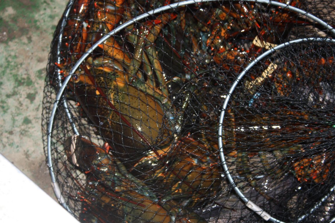 12��25�� 018.JPG